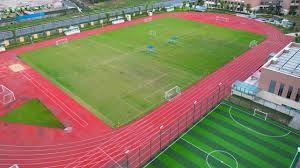 米体：梅努想加盟那不勒斯，麦克托米奈的成功是吸引他的因素